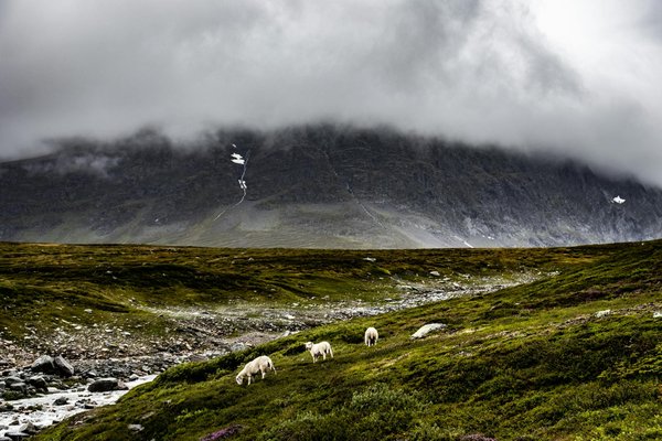 Quels sont les meilleurs itinéraires pour une expédition en motoneige en Laponie suédoise?